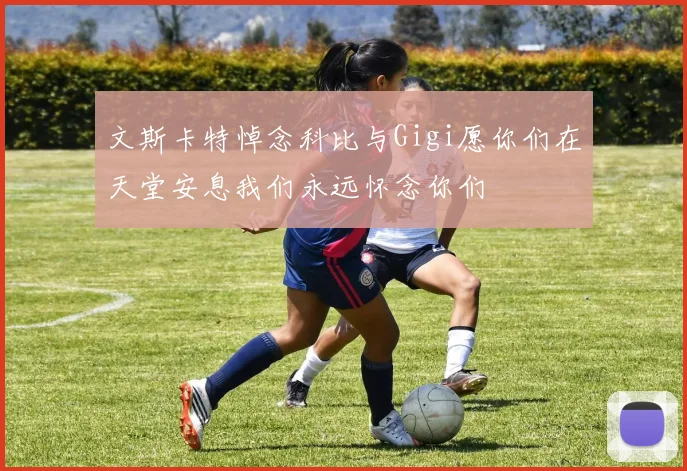 文斯卡特悼念科比与Gigi愿你们在天堂安息我们永远怀念你们